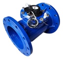Medidor De Agua Bridado Tipo Turbina Woltman 10 PLG (250 Mm)